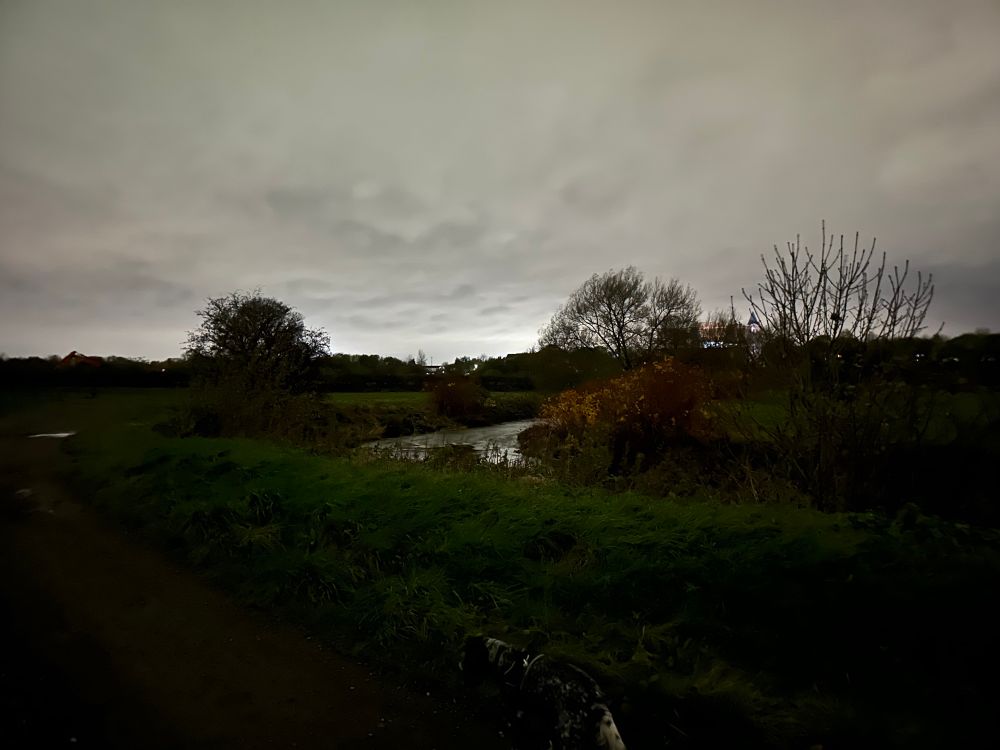 Night time scene of a river bending along a wide flood plain in a tree lined valley, a cocker spaniel stands on the near river bank looking out over the water; in the distance, buildings illuminated by white street lamps; overhead, clouds shining with the reflected lights 
