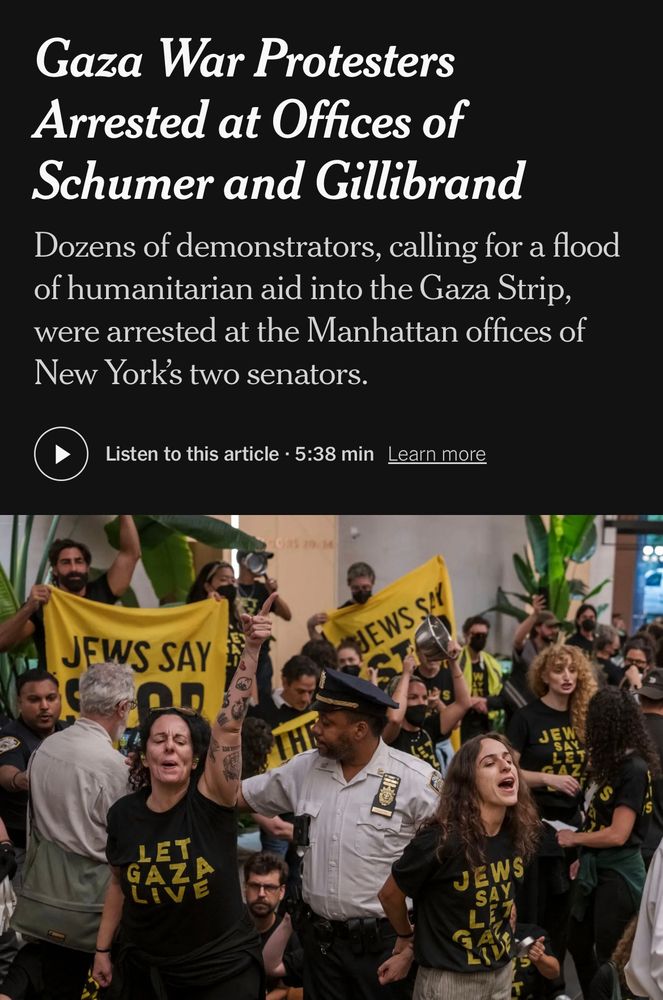 Gaza war protestors arrested outside Schumer and Gillibrands offices wearing JVP T-shirts 