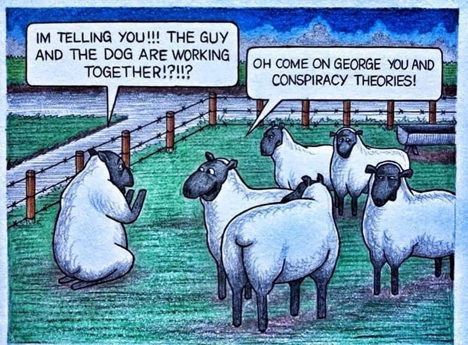 sarjakuvaruutu, lammas vakuuttelee muille, että mies ja koira tekevät yhteistyötä. Muu lauma sanoo, että taas tuo yksi on salaliittoteorioissa.