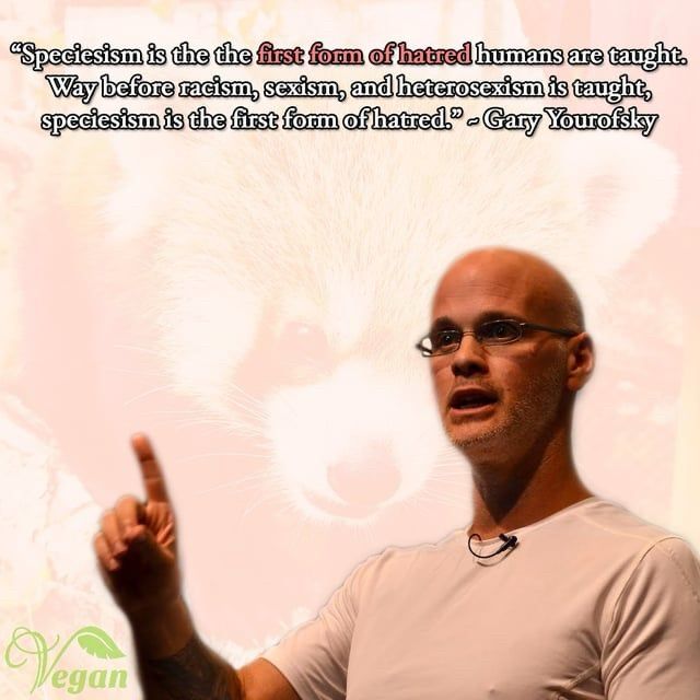 "Speciesism is the the first form of hatred humans are taught.
Way before racism, sexism, and heterosexism is taught,
speciesism is the first form of hatred" - Gary Yourofsky