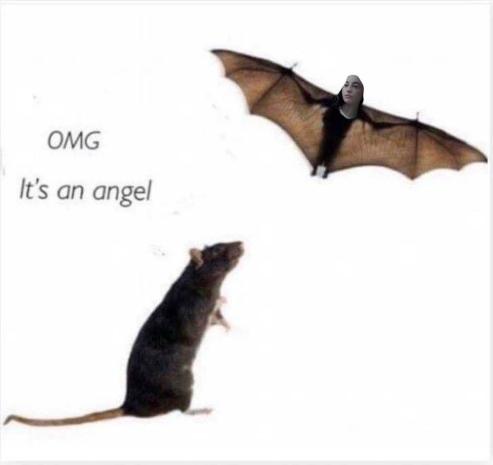 rachael as a bat
a rat says omg it’s an angel