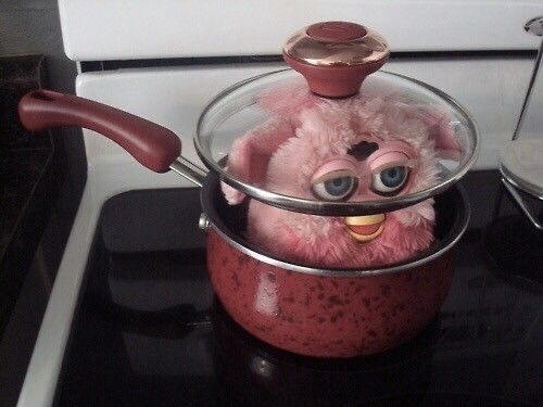 furby in a pot on the stove