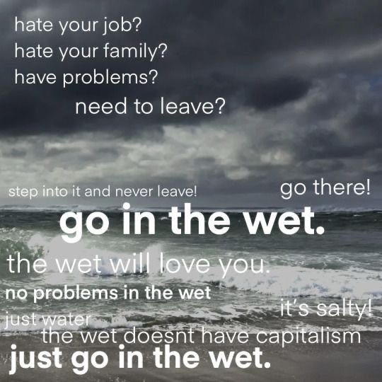 hate your job? hate your family? have problems?
need to leave?
step into it and never leave!
go there!
go in the wet.
the wet will love you no problems in the wet just water
it's salty
•the wet doesnt have capitalism just go in the wet.