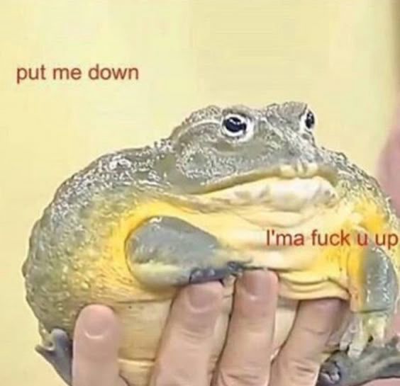 put me down
I'ma fuck u up