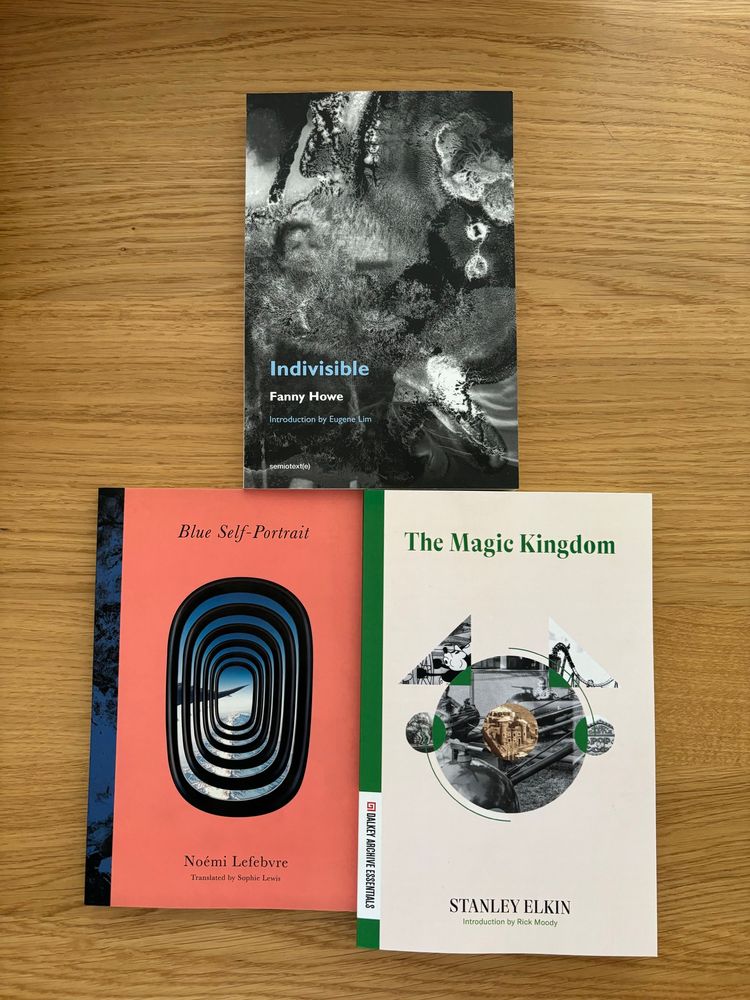 Covers of The Magic Kingdom by Stanley Elkin, Blue Self-Portrait by Noémi Lefebvre and Indivisible by Fanny Howe