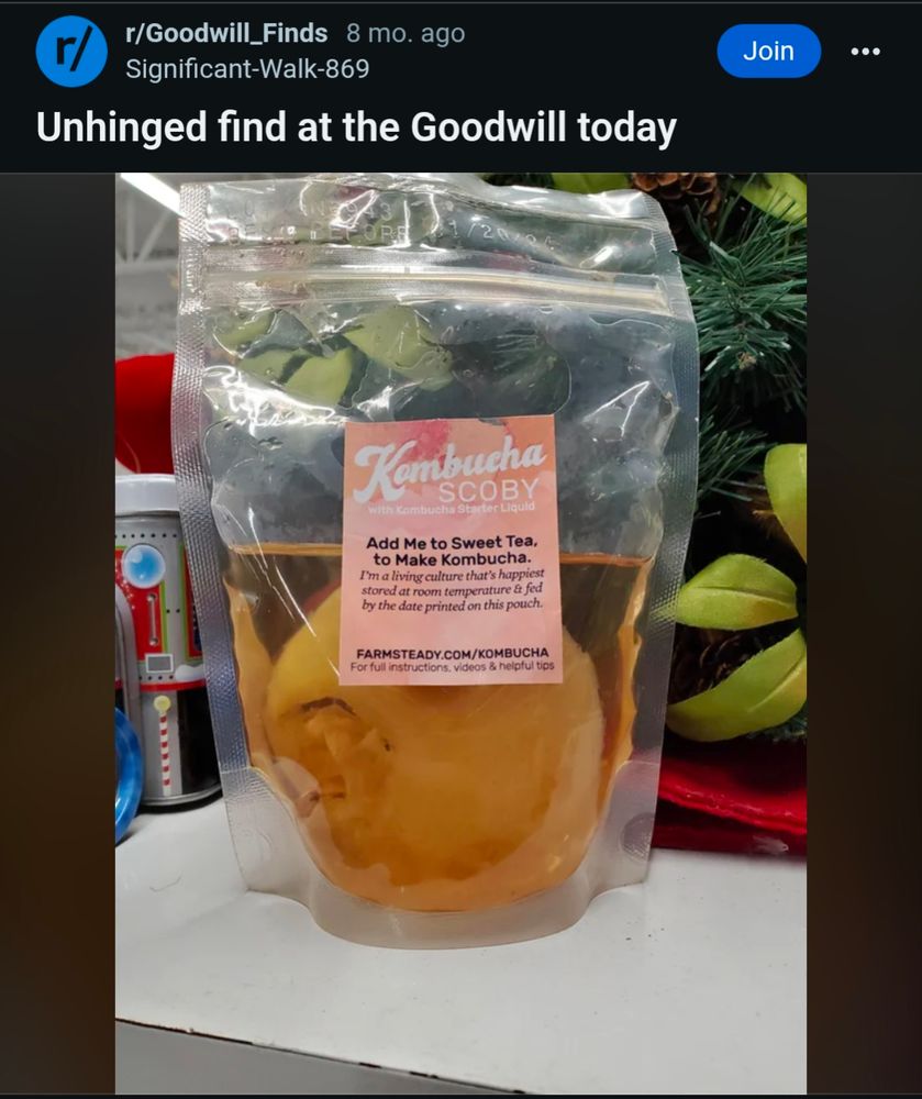 a kombucha scoby in a pouch, posted on r/Goodwill_Finds