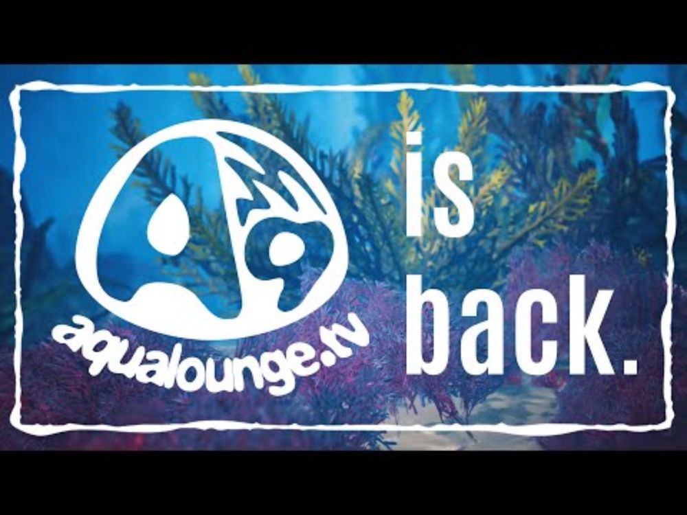 aqualounge returns.