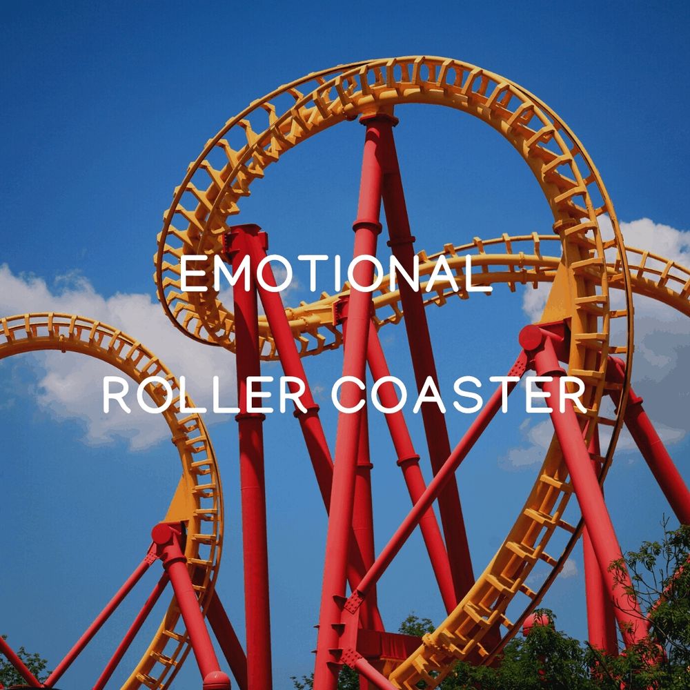 emotional roller coaster meme