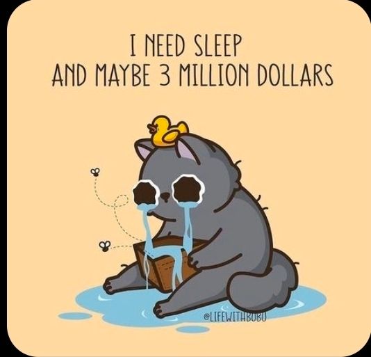 Katze weint : I NEED SLEEP AND MAYBE 3 MILLION DOLLARS