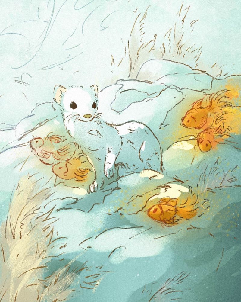 Digital drawing set during winter.  At the center is an Ermine peeking over a knoll in the snow.  Floating orange goldfish are floating across the scene.    
