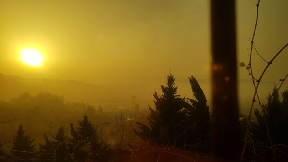 The light in the mist
