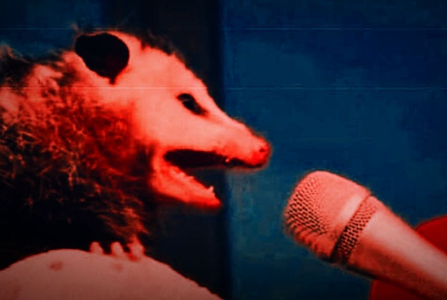 Overfried image of an opossum screaming into a microphone