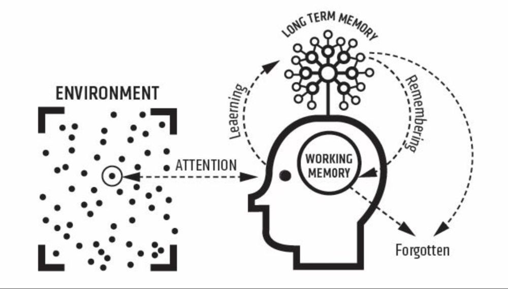 Using cognitive science to make better decisions