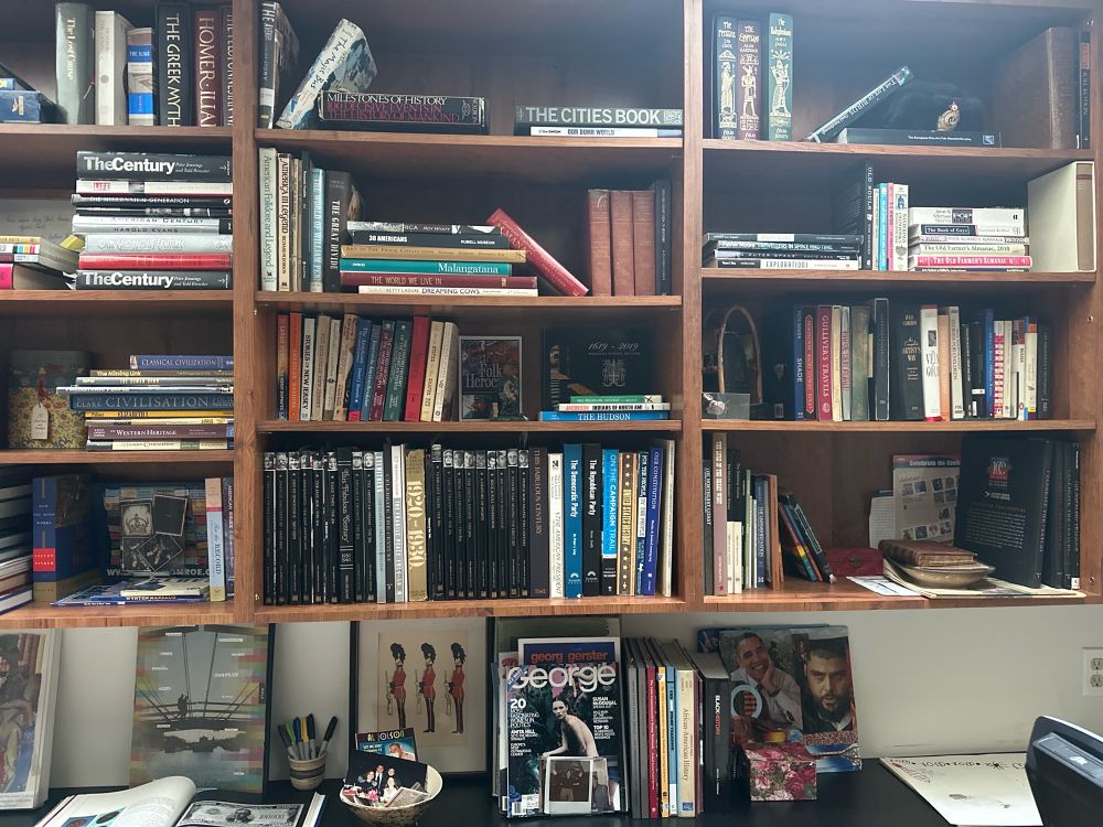 Shelves of books by themes (limited)