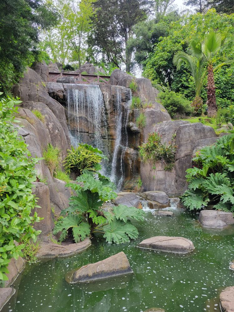 A waterfall with plant life on both sides in Golden Gate Park