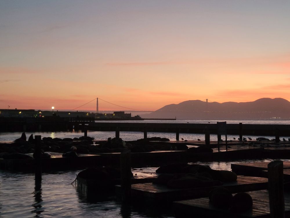 A sunset view of floating docks for boats with sea lions lounging on them, the Golden Gate Bridge and distant mountains in the background