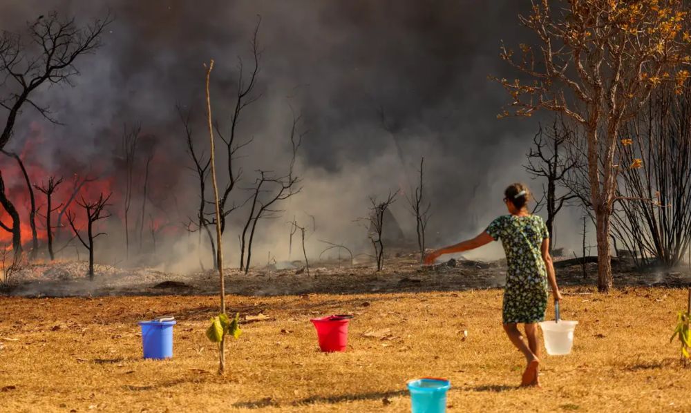 Incêndio que destruiu áreas de proteção ambiental em Brasília foi provocado por bombeiro