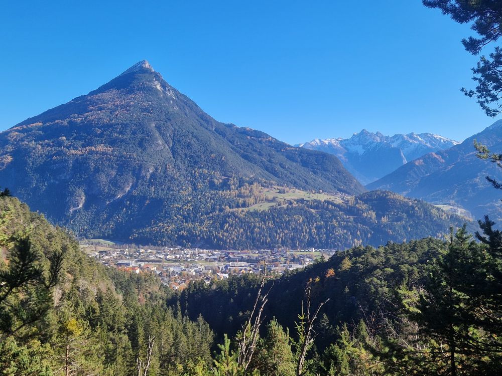 Berge und strahlend blauer Himmel, im Vordergrund Mischwald aus Föhren und Fichten 