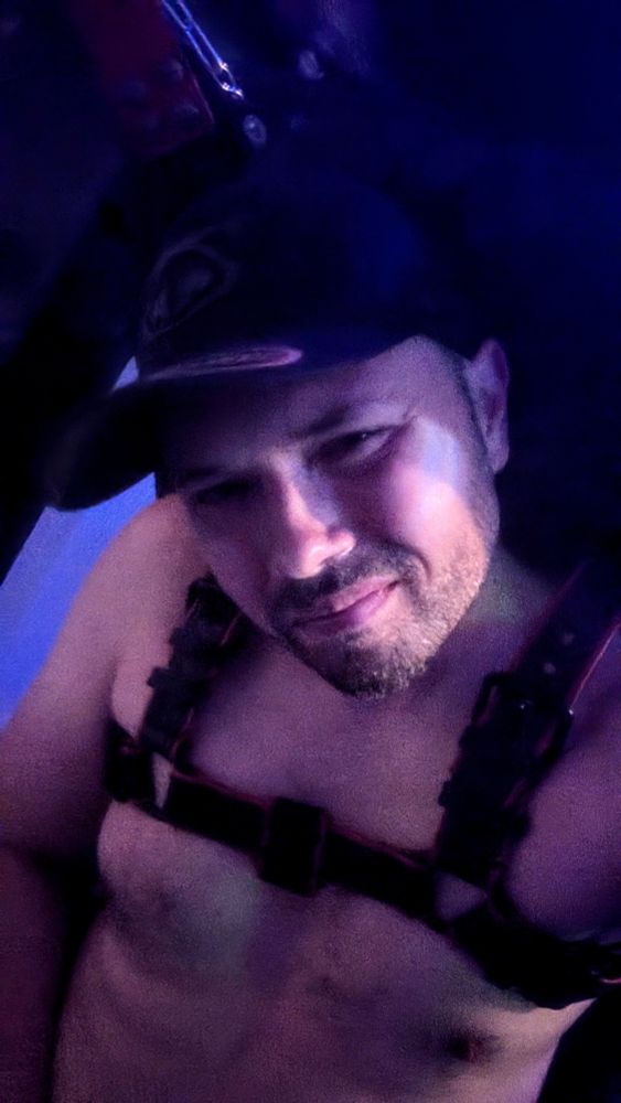 Man in a bulldog harness and basecap in a sling 