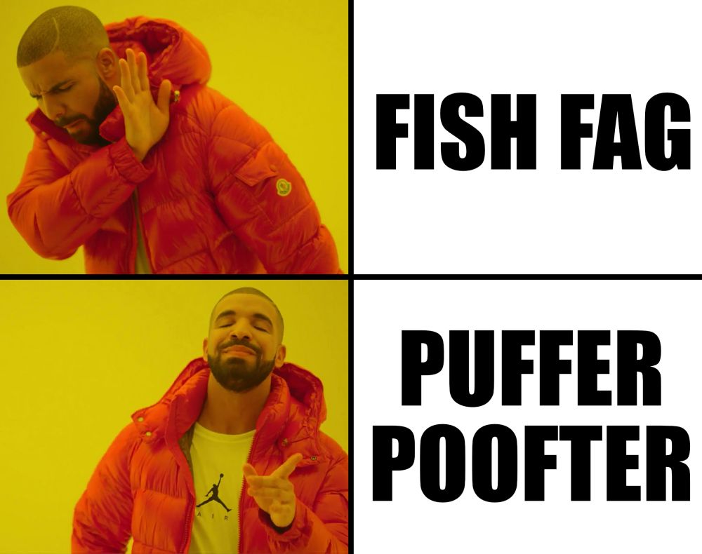 Mean of Drake in a puffy jacket shying away from the term "Fish Fag" and approving of "Puffer Poofter"