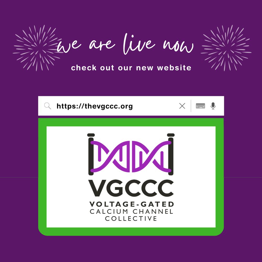 A celebratory announcement graphic with a deep purple background. The text 'We are live now' is written in white cursive with two firework-like spark designs on either side. Below, in smaller white text, it says 'Check out our new website.' The image features a stylized browser window displaying the URL 'https://thevgccc.org.' Inside the browser window is the VGCCC logo, which includes a purple DNA helix between two black vertical bars, with the text 'VGCCC - Voltage-Gated Calcium Channel Collective' beneath it. The browser window has a green frame.