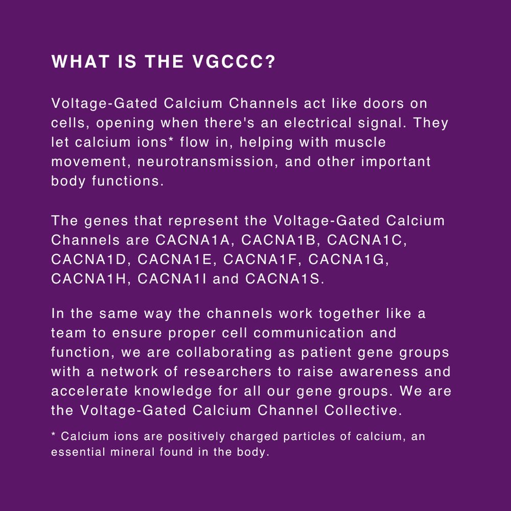 What is the VGCCC?
Voltage-Gated Calcium Channels act like doors on cells, opening when there's an electrical signal. They let calcium ions* flow in, helping with muscle movement, neurotransmission, and other important body functions.
The genes that represent the Voltage-Gated Calcium Channels are CACNA1A, CACNA1B, CACNA1C, CACNA1D, CACNA1E, CACNA1F, CACNA1G, CACNA1H, CACNA1I and CACNA1S.
In the same way the channels work together like a team to ensure proper cell communication and function, we are collaborating as patient gene groups with a network of researchers to raise awareness and accelerate knowledge for all our gene groups. We are the Voltage-Gated Calcium Channel Collective.

* Calcium ions are positively charged particles of calcium, an essential mineral found in the body.