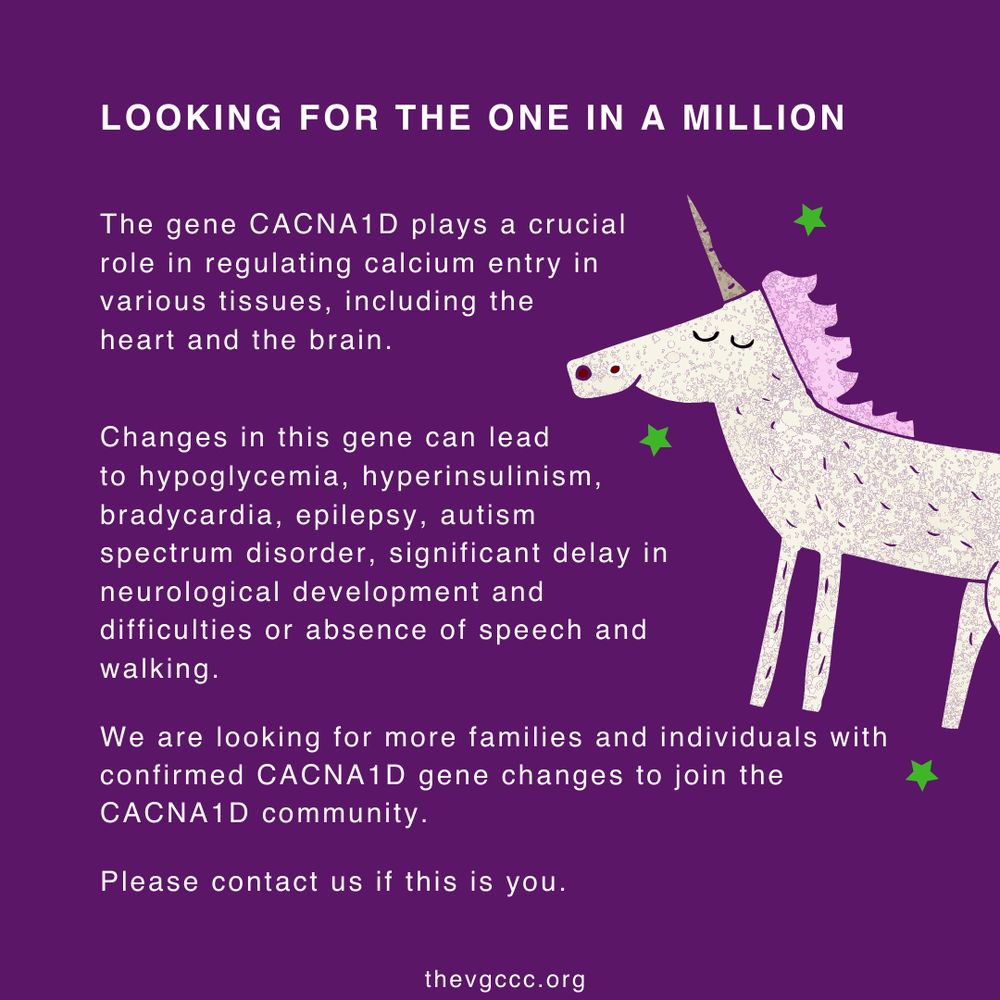 A digital graphic with a purple background features white text and an illustrated unicorn with a light purple mane. The heading, "LOOKING FOR THE ONE IN A MILLION," is in bold uppercase letters. The text below explains that the CACNA1D gene regulates calcium entry in tissues like the heart and brain. It describes how changes in this gene can lead to conditions such as hypoglycemia, hyperinsulinism, bradycardia, epilepsy, autism spectrum disorder, neurological delays, and difficulties with speech and walking. The message invites families and individuals with confirmed CACNA1D gene changes to join the CACNA1D community and provides a contact call-to-action. The VGCCC website, "thevgccc.org," is listed at the bottom. Small green stars are scattered around the unicorn.