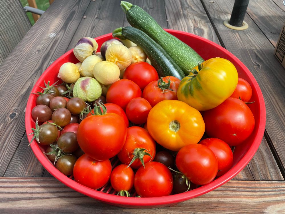A giant pile of fresh picked vegetables