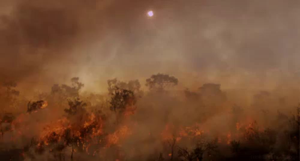 the sun shines brightly through the clouds over a forest fire