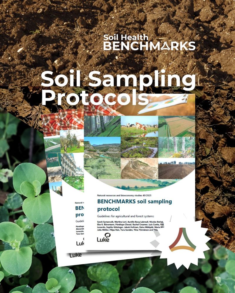 Sample of the protocols