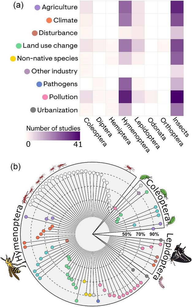From the paper: "Figure 4.Taxonomic bias in the treatment of hypothesized drivers of insect declines from 106 articles containing taxon-specific hypotheses. (a) The distribution of hypotheses about broad classes of drivers of decline across insect taxonomic groups. (b) The distribution of higher resolution driver and outcome nodes across taxonomic groups. Each colored point shows a node in the network in figure 2 that was said to affect at least two different orders. The nodes are plotted in the taxonomic section where they are most frequently mentioned. Therefore, all taxon-specific nodes are most associated with Coleoptera, Hymenoptera, or Lepidoptera. The line length from the center indicates how biased a term is. The dashed lines indicate which nodes are mentioned about a given taxonomic group more than 50%, 70%, or 90% of the time. The nodes are colored the same way as in figures 1, 2, and 3 (see supplement for node labels). Insect icons were designed by Suyeon Jang."