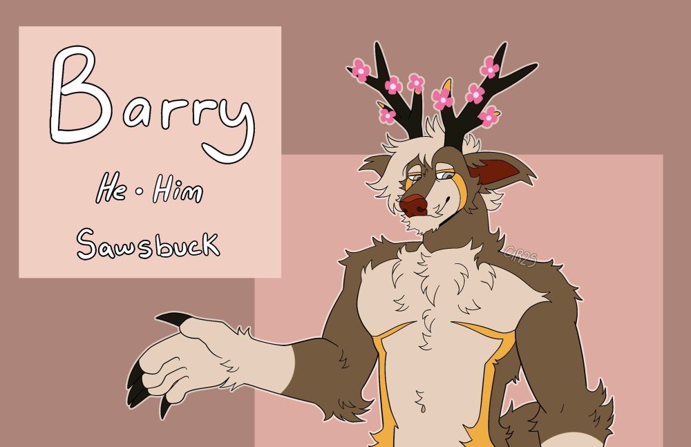 Barry the Sawsbuck 