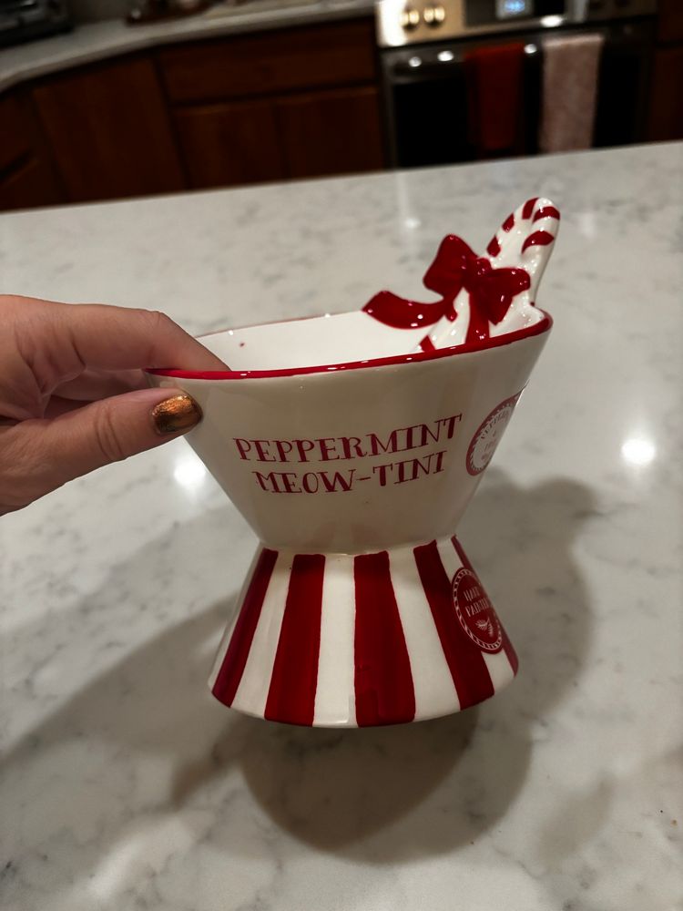 a raised cat bowl hand painted red and white to look like a peppermint candy. it says ‘peppermint meow-tini’