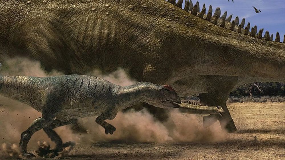 Allosaurus hunting Diplodocus from the BBC series Walking with Dinosaurs.
