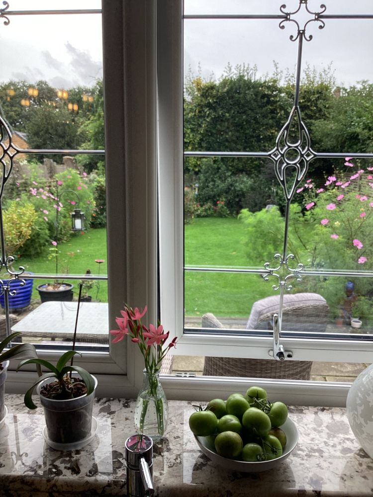 View from the kitchen window of the garden. 