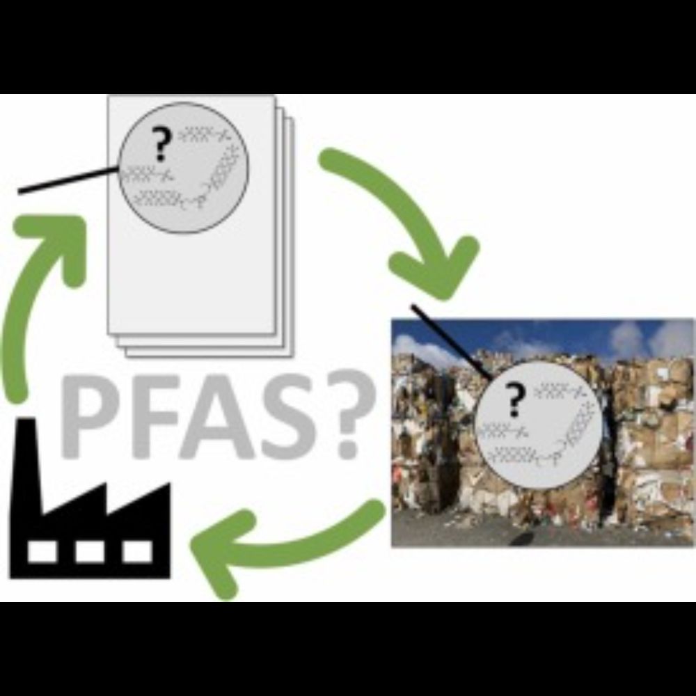 Recycling of Paper, Carboard and its PFAS in Norway