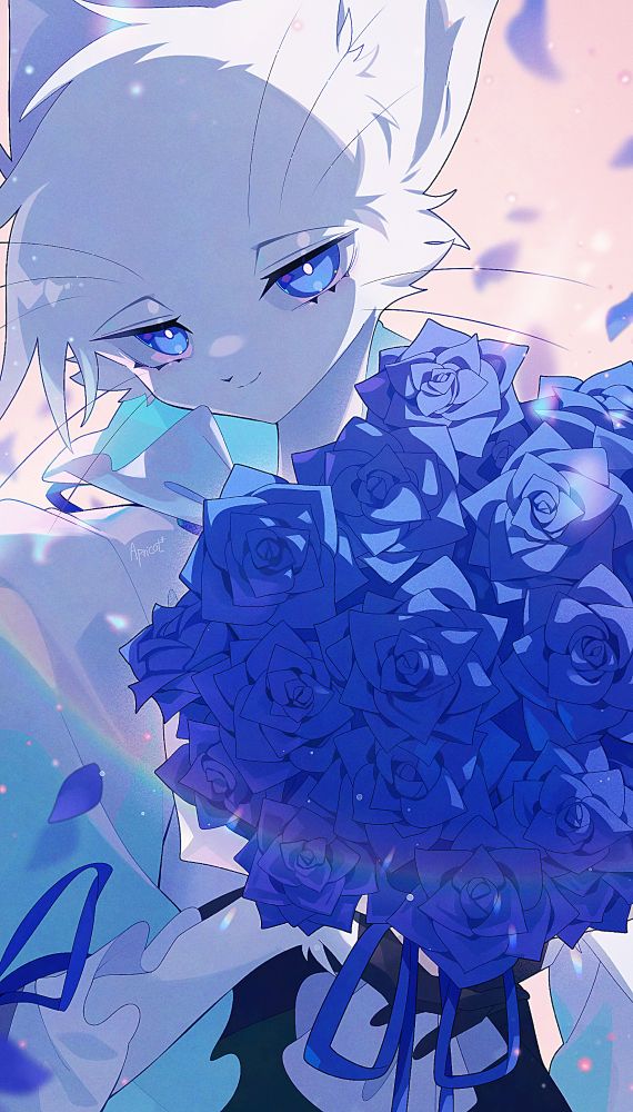 Apricot⁴ (@4pricota.bsky.social) — Bluesky