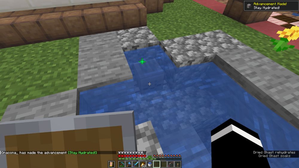 Screenshot of minecraft with a dried ghast in water