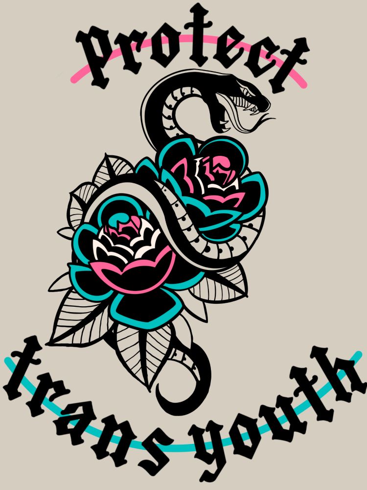 A digital image drawn in american traditional tattoo style. 
A snake poised open mouthed and striking is wrapped around two roses, the snake is black, the roses are pink, white and blue representing the colours of the transgender flag. 
The word protect are above the snake with a pink strike through it, below the snake are the words trans youth, with a blue strike through them.