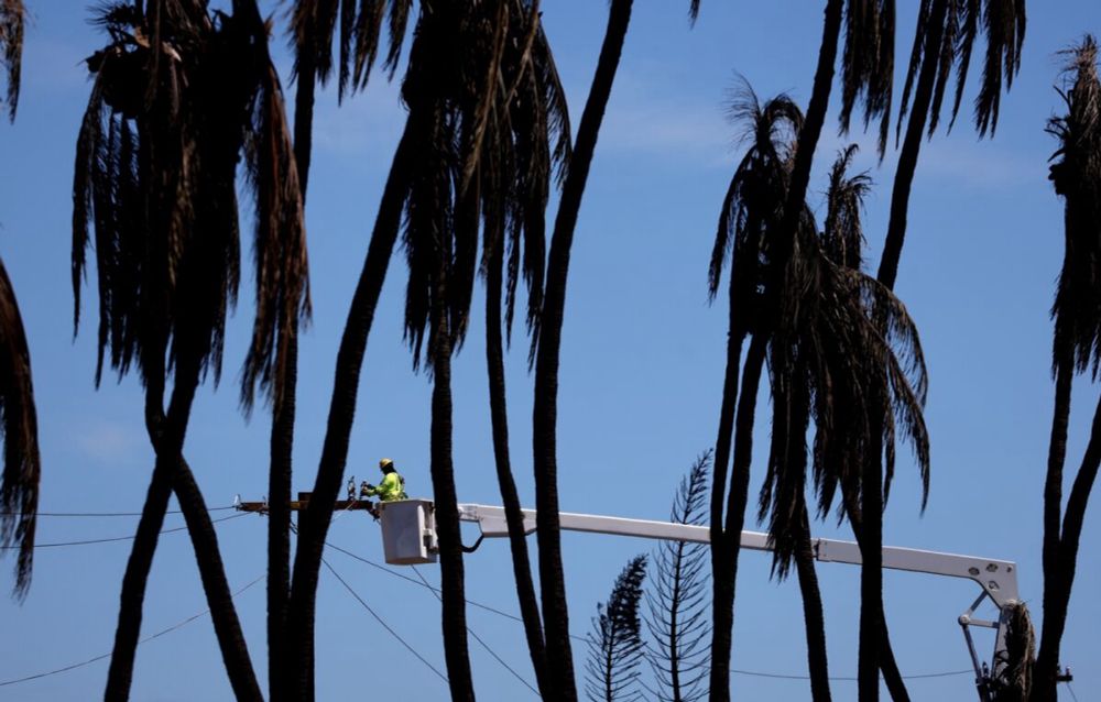 Maui Fire Caused by Broken Utility Power Lines, Report Finds