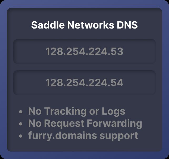 Marketing image with the following text: Saddle Networks DNS, No Tracking or Logs, No Request Forwarding, furry.domains support. The IP addresses of the DNS servers are as following: 128.254.224.53 and 128.254.224.54