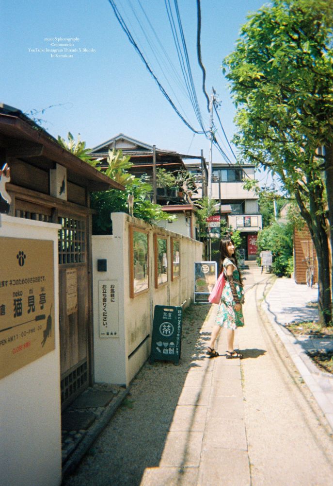 写ルンですで鎌倉散策