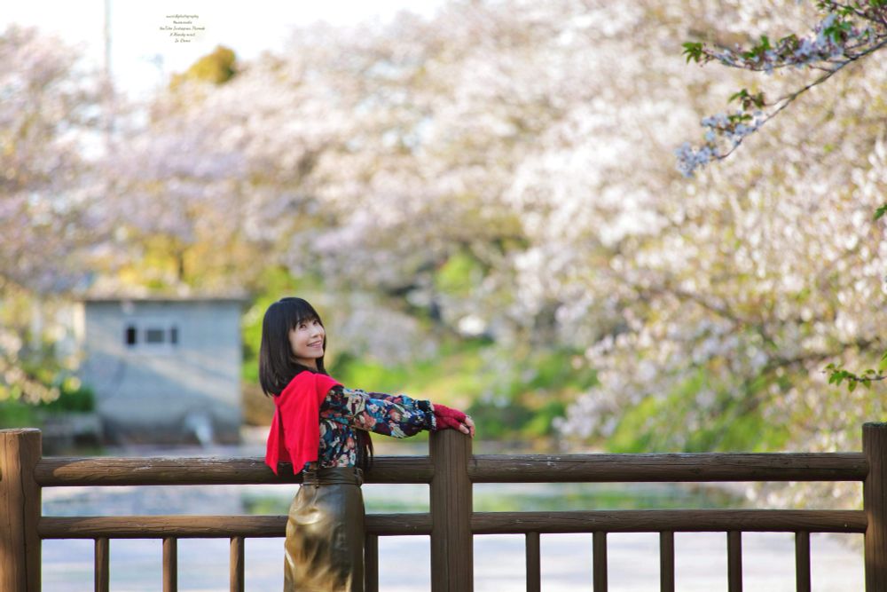 ひょうたん池の花筏の前で散り始めた桜のボケの前に立つ女性