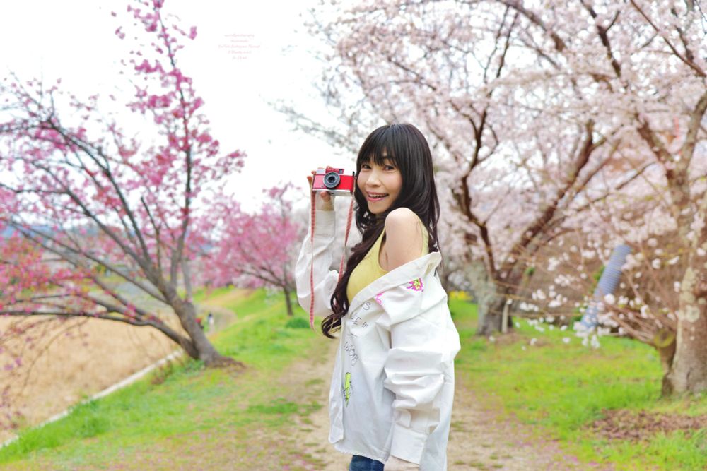 ふらりと立ち寄った川沿いの桜の歩道 陽光桜とソメイヨシノを同時に楽しめる春の光景をフィルムカメラにも収めようと楽しみな様子でこちらを見る女性