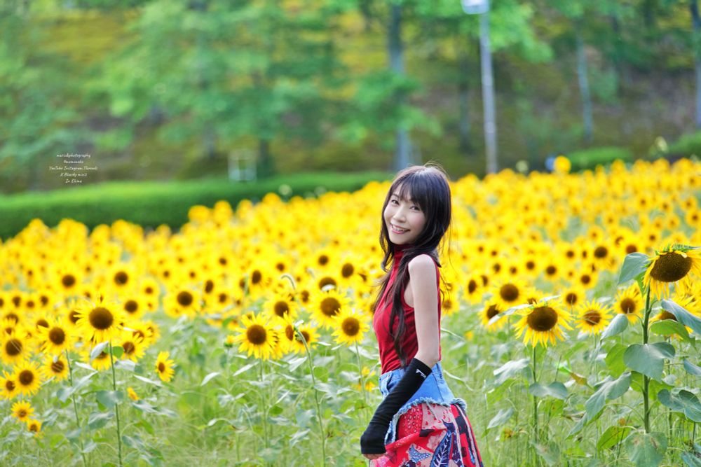 池のほとりのヒマワリ畑の中でこちらを見ている女性