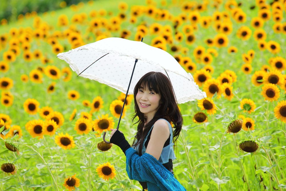 小さなヒマワリが咲き並ぶフラワーパークに日傘をさして立つ女性