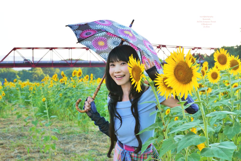 太陽が翳るヒマワリ畑で新しい日傘をさして嬉しそうにこちらを見る女性