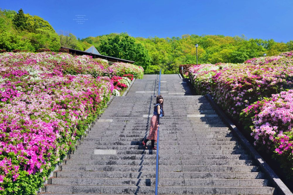 山の景色が美しいツツジ 咲く公園の階段に立ち自然のエネルギーを身体に浴びる女性　