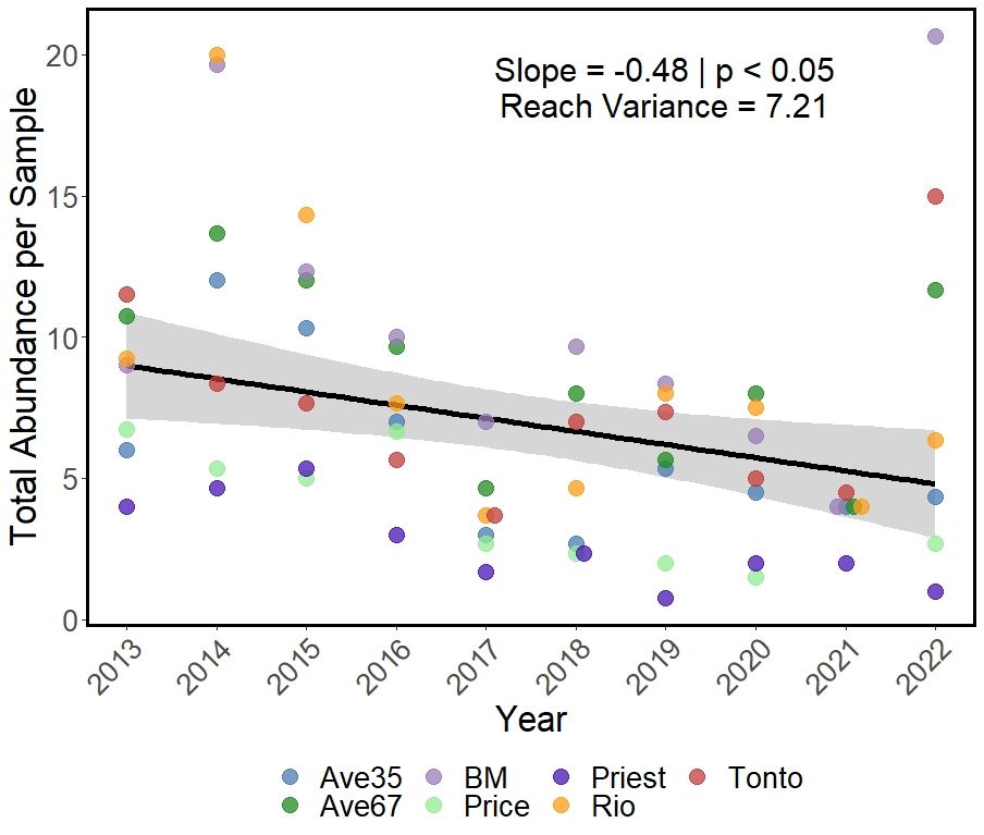Lizard abundance declined over 10 yrs