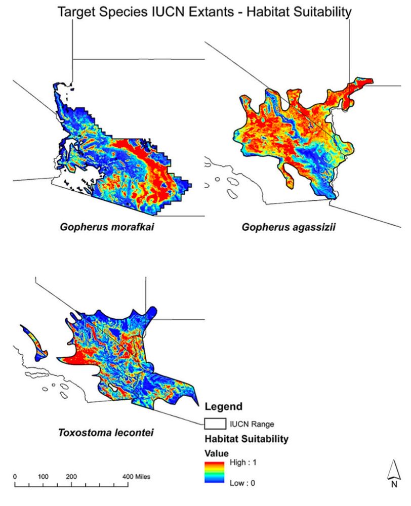 Habitat suitability for two species of desert tortoise and a thrasher (bird)